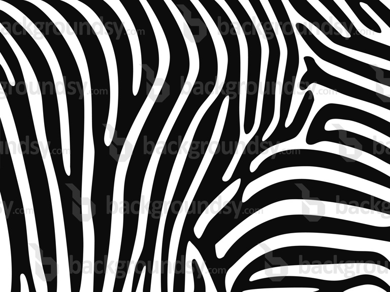 Zebra skin vector pattern